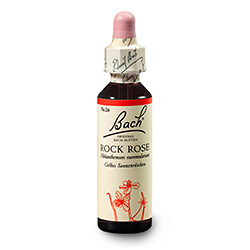 Bachovy kapky Devaterník penízkovitý - Rock Rose